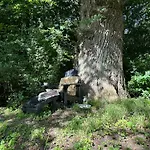 Σπίτι διακοπών Historic Doctor's By Corselitze Forests